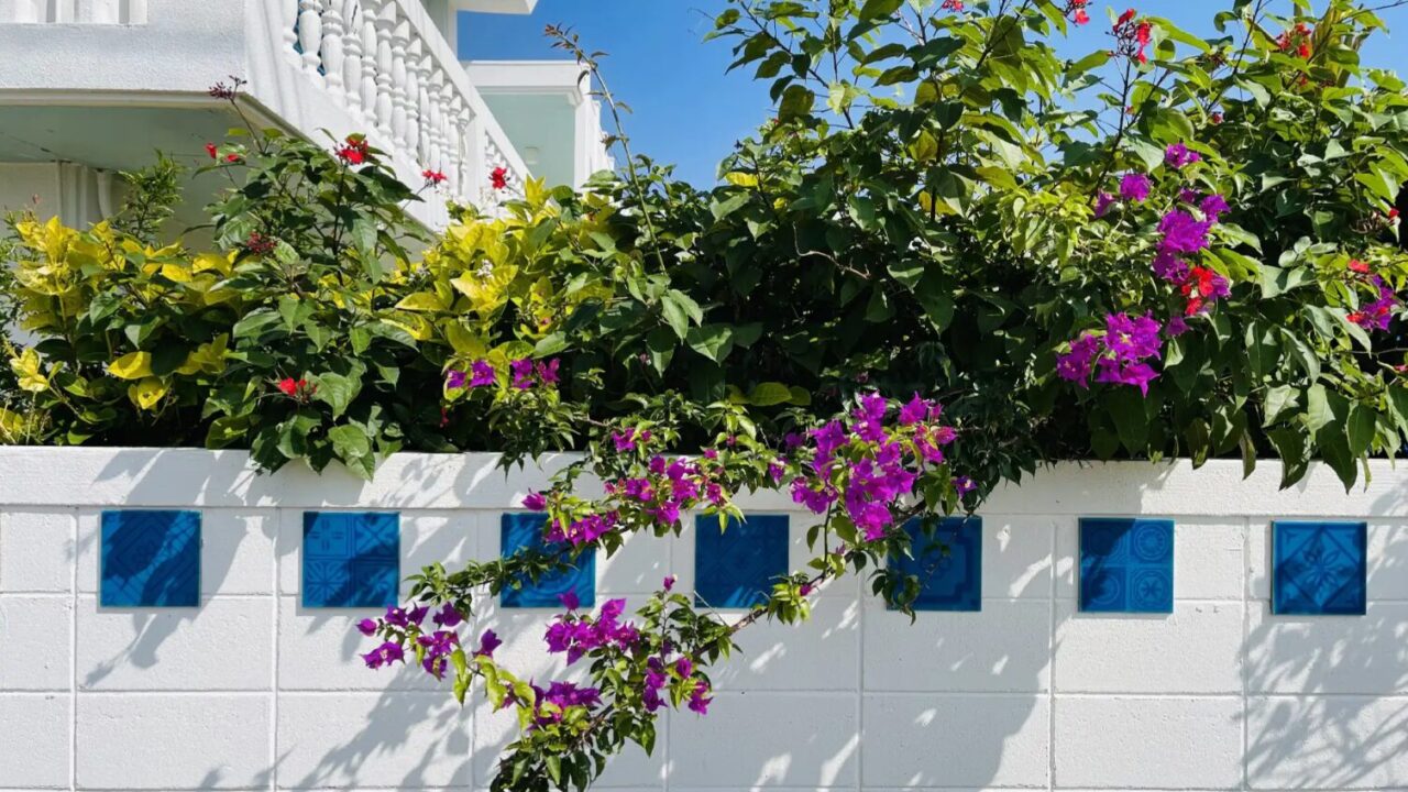 AZZURRA　宮古島ゆったりした島時間が流れる2室限定の隠れ家