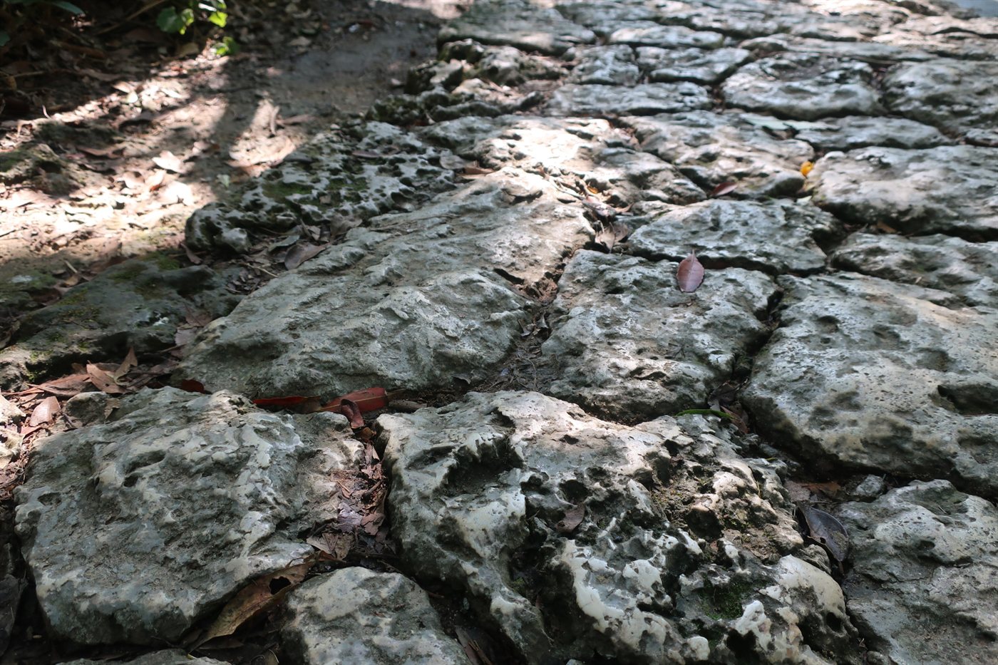 斎場御嶽の石畳の参道。ごつごつした石が敷き詰められている